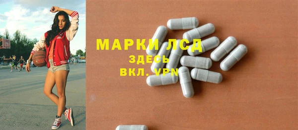 прущие грибы Богданович