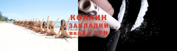 прущие грибы Богданович