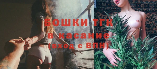 прущие грибы Богданович