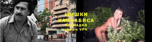 прущие грибы Богданович